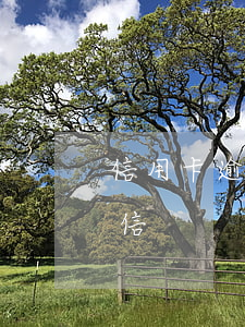 信用卡逾期律師主動加微信(逾期律師加我微信)