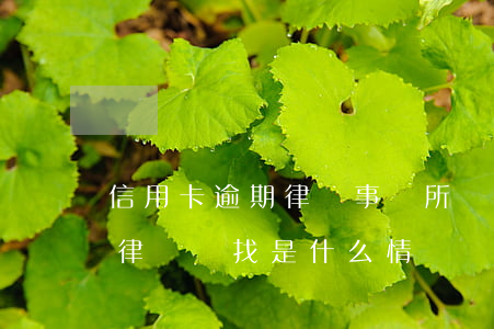 信用卡逾期律師事務所會聯系你么(欠信用卡律師來找是什么情況)