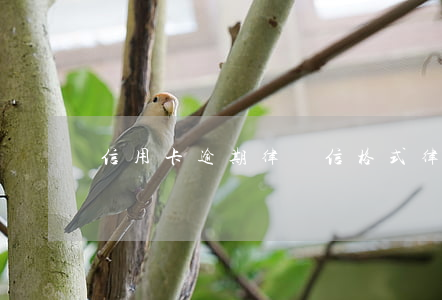 信用卡逾期律師信格式(律師函信用卡逾期)