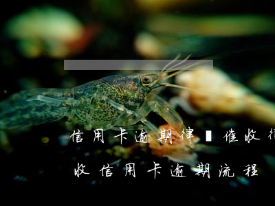 信用卡逾期律師催收(律師事務(wù)所催收信用卡逾期流程)