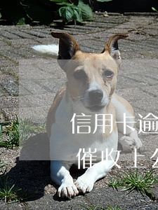 信用卡逾期律師催收真的會立案(欠信用卡被催收上公司催收怎么辦)