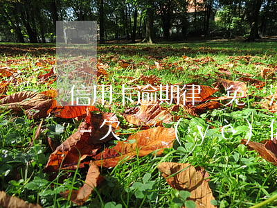 信用卡逾期律師免費法律咨詢興業(yè)-欠興業(yè)信用卡5000今天已經(jīng)收到律師電話