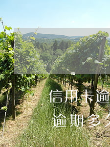信用卡逾期律師函什么時(shí)候到-逾期多久發(fā)律師函