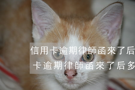 信用卡逾期律師函來了后多久會起訴-信用卡逾期律師函來了后多久會起訴對方