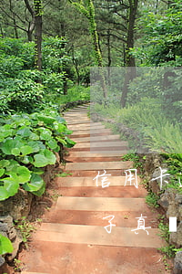 信用卡逾期律師函例子(信用卡逾期律師函例子真實(shí))