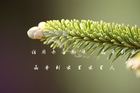 信用卡逾期律師函寄到家里(信用卡逾期律師函寄到家里家里人問我好煩呀)
