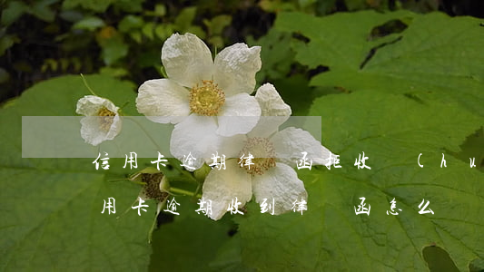 信用卡逾期律師函拒收會(huì)這樣(信用卡逾期收到律師函怎么辦)
