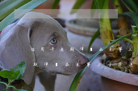 信用卡逾期律師函是第三方派送嗎(信用卡逾期律師函是第三方派送嗎是真的嗎)