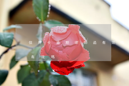信用卡逾期律師函有效嗎(信用卡逾期律師函有效嗎)