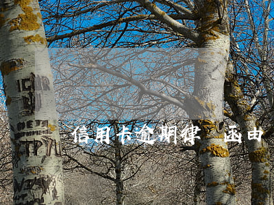 信用卡逾期律師函由誰派送