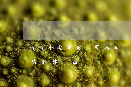信用卡逾期律師可以上門取證(因信用卡逾期收到律師函)