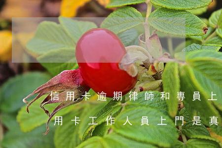 信用卡逾期律師和專員上門該怎么辦-辦信用卡工作人員上門是真的嗎