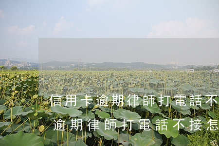 信用卡逾期律師打電話不接怎么辦-信用卡逾期律師打電話不接怎么辦呢