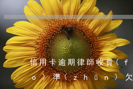 信用卡逾期律師收費(fèi)標(biāo)準(zhǔn)(欠信用卡請(qǐng)律師費(fèi)用多少錢(qián))