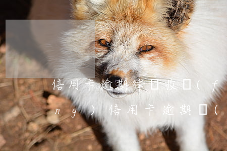 信用卡逾期律師收費(fèi)貴陽(yáng)(信用卡逾期請(qǐng)律師幫忙協(xié)商多少錢)