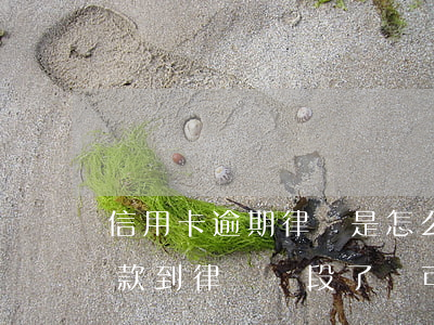 信用卡逾期律師是怎么協商成功的(信用卡欠款到律師階段了還可以協商嗎)