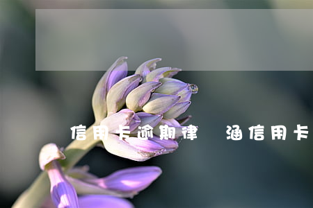 信用卡逾期律師涵(信用卡逾期律師涵)