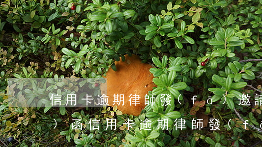 信用卡逾期律師發(fā)邀請(qǐng)函(信用卡逾期律師發(fā)邀請(qǐng)函)