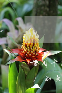 信用卡逾期律師發(fā)邀請(qǐng)函(欠信用卡發(fā)律師函)