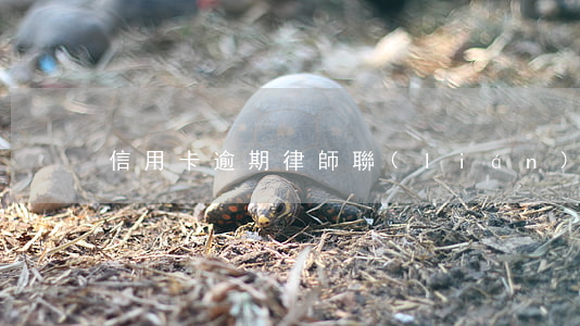 信用卡逾期律師聯(lián)系