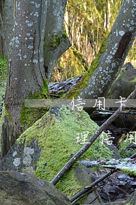 信用卡逾期律師能協(xié)商(有沒有處理信用卡逾期的律師)