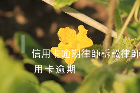 信用卡逾期律師訴訟(律師事務所咨詢免費信用卡逾期)