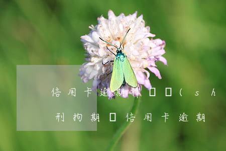 信用卡逾期律師說(shuō)要移交案件(刑拘期間信用卡逾期)