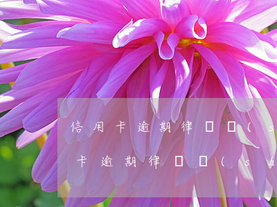 信用卡逾期律師說(shuō)起訴了(信用卡逾期律師說(shuō)起訴了)