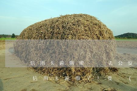 信用卡逾期律師讓去公安局(律師到家里來說信用卡逾期了!要準(zhǔn)備立案)