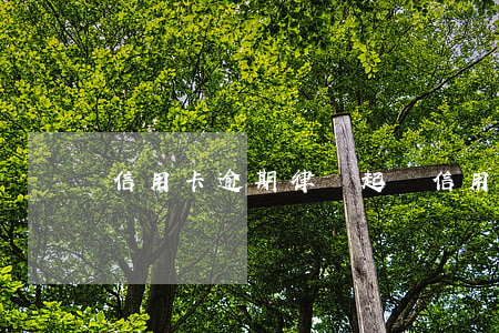 信用卡逾期律師起訴(信用卡逾期律師起訴話術)