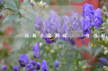 信用卡逾期律師郵件 信用卡逾期律師郵件