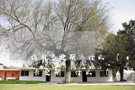 信用卡逾期從什么時(shí)候開始(信用卡逾期從什么時(shí)候開始算三個(gè)月)