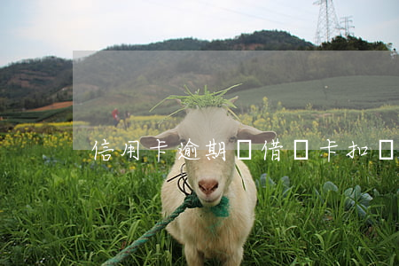 信用卡逾期從借記卡扣錢嗎