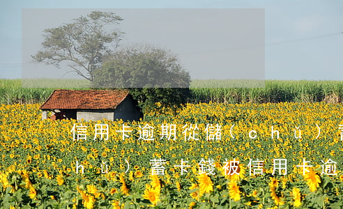 信用卡逾期從儲(chǔ)蓄卡扣錢(儲(chǔ)蓄卡錢被信用卡逾期劃走了)