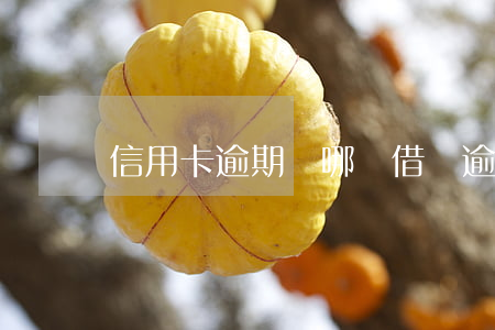 信用卡逾期從哪兒借錢(逾期哪里借錢)