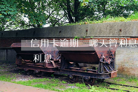 信用卡逾期從哪天算利息(信用卡逾期怎么算利息)