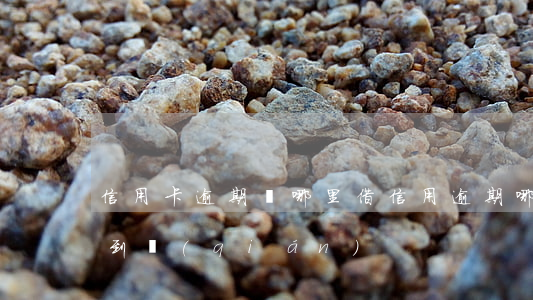 信用卡逾期從哪里借(信用逾期哪里還可以借到錢(qián))