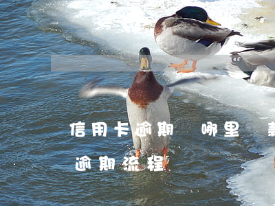 信用卡逾期從哪里還款好(2022年信用卡逾期流程)