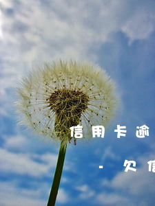 信用卡逾期從報(bào)警到抓人多久起訴-欠信用卡逾期多久會(huì)被起訴