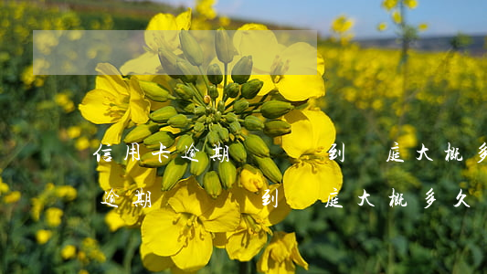 信用卡逾期從訴訟到開庭大概多久-信用卡逾期從訴訟到開庭大概多久結(jié)案