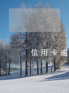 信用卡逾期從賬單日算(信用卡 逾期記錄)