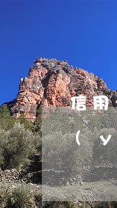 信用卡逾期從養(yǎng)老金扣除-養(yǎng)老保險金逾期怎么辦