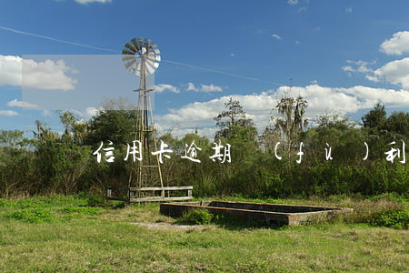 信用卡逾期復(fù)利取消