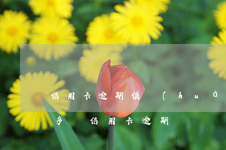 信用卡逾期循環(huán)上漲合法嗎(十多張信用卡逾期)