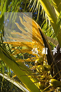 信用卡逾期微信催款(發(fā)微信催款)