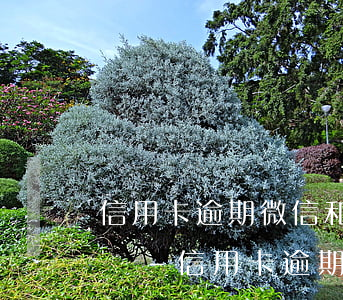 信用卡逾期微信和支付寶會凍結(jié)嗎-信用卡逾期微信和支付寶會凍結(jié)嗎安全嗎