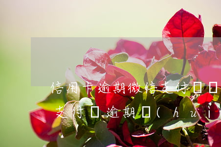 信用卡逾期微信支付寶會(huì)被封嗎(支付寶逾期會(huì)凍結(jié)信用卡)