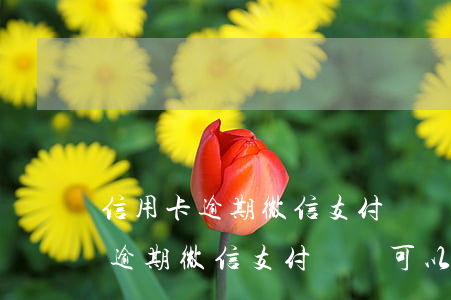 信用卡逾期微信支付寶還可以用嗎-信用卡逾期微信支付寶還可以用嗎安全嗎
