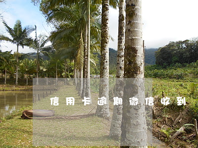 信用卡逾期微信收到協(xié)查函