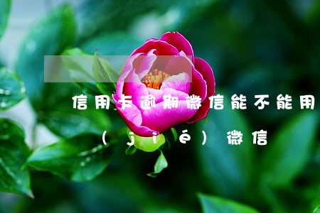 信用卡逾期微信能不能用 欠信用卡逾期會凍結(jié)微信嗎